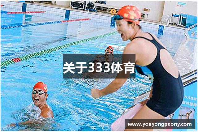 关于333体育